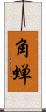 角蝉 Scroll
