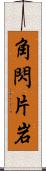 角閃片岩 Scroll