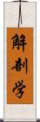 解剖学 Scroll