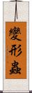 變形蟲 Scroll