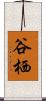 谷栖 Scroll
