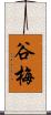 谷梅 Scroll