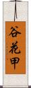 谷花甲 Scroll