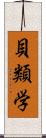貝類学 Scroll