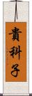 貴科子 Scroll