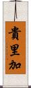 貴里加 Scroll