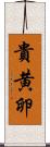 貴黄卵 Scroll