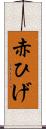 赤ひげ Scroll