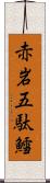 赤岩五駄鱈 Scroll