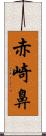 赤崎鼻 Scroll