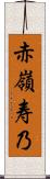 赤嶺寿乃 Scroll