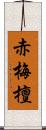 赤梅檀 Scroll