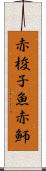 赤梭子魚 Scroll