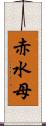 赤水母 Scroll