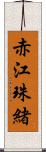 赤江珠緒 Scroll