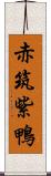 赤筑紫鴨 Scroll