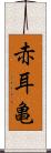 赤耳亀 Scroll