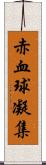 赤血球凝集 Scroll