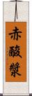 赤酸漿 Scroll