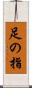 足の指 Scroll