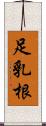 足乳根 Scroll