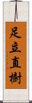足立直樹 Scroll