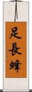 足長蜂 Scroll