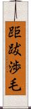 距跋渉毛 Scroll