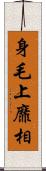 身毛上靡相 Scroll