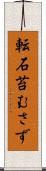 転石苔むさず Scroll
