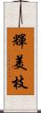 輝美枝 Scroll