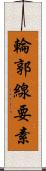 輪郭線要素 Scroll
