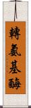 轉氨基酶 Scroll