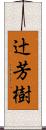 辻芳樹 Scroll