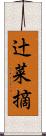 辻菜摘 Scroll