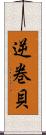 逆巻貝 Scroll