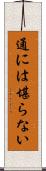 通には堪らない Scroll
