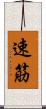 速筋 Scroll