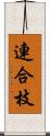 連合枝 Scroll