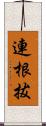 連根拔 Scroll