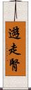 遊走腎 Scroll