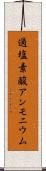 過塩素酸アンモニウム Scroll