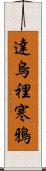 達烏裡寒鴉 Scroll