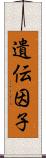 遺伝因子 Scroll