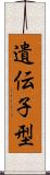 遺伝子型 Scroll