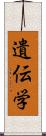 遺伝学 Scroll