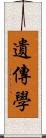 遺傳學 Scroll
