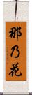 那乃花 Scroll