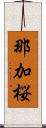 那加桜 Scroll