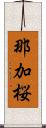 那加桜 Scroll